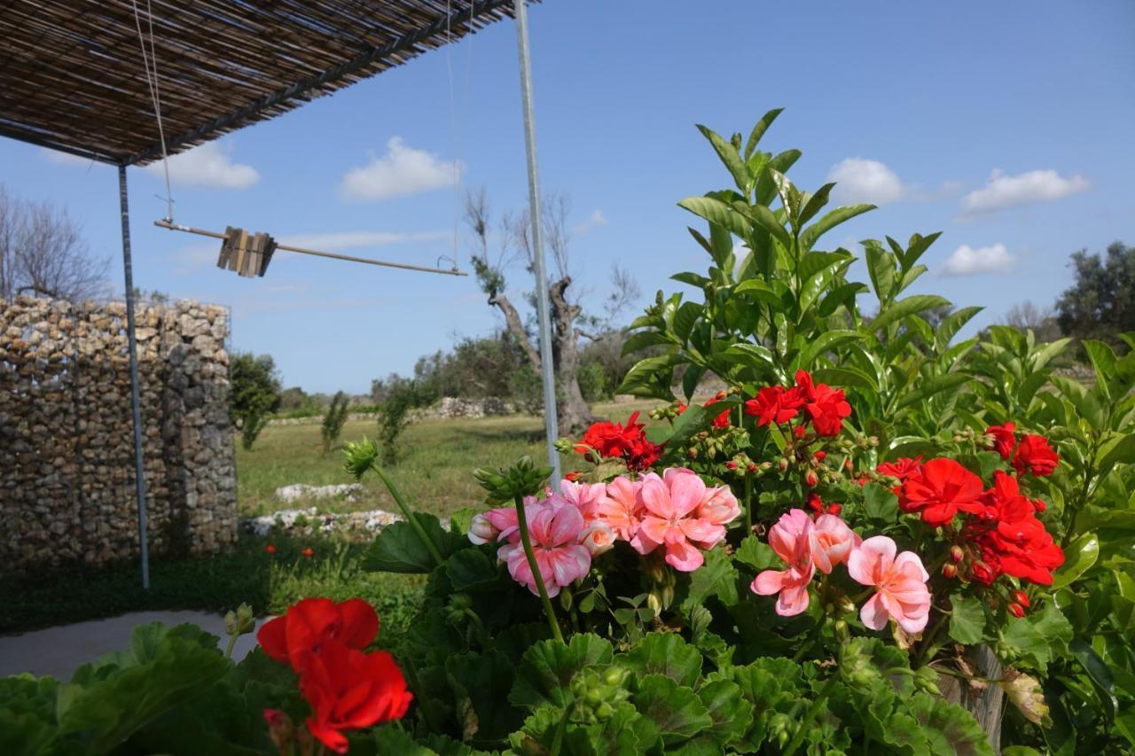 메리네 Giardino Del Tempo 빌라 외부 사진
